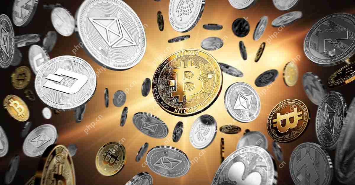 比特币（BTC）分析师Samson Mow警告心理偏见欺骗新的加密投资者
